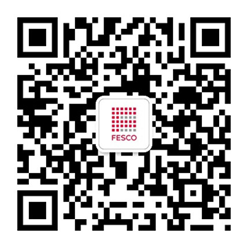 FESCO�㶫AG�콢��